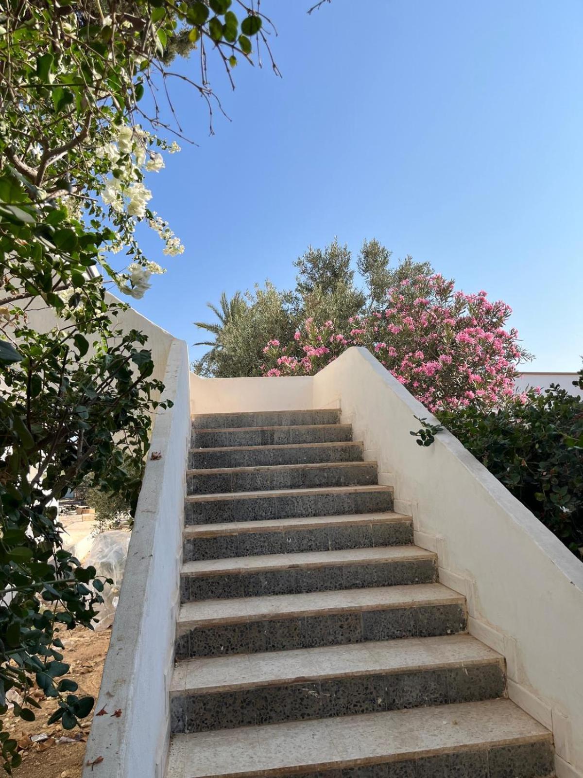 Apartment Jamila Confort Entre Et Le Phare